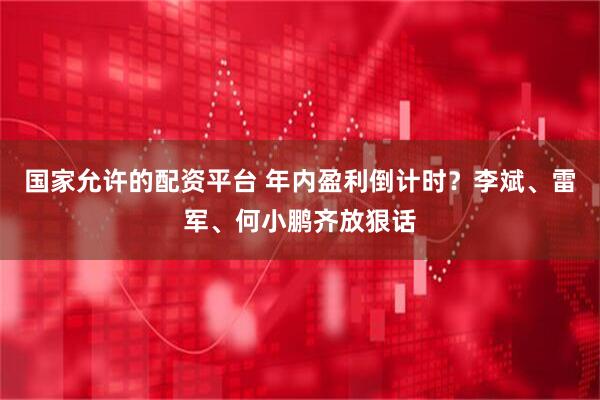 国家允许的配资平台 年内盈利倒计时？李斌、雷军、何小鹏齐放狠话