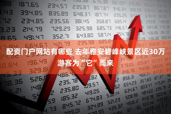 配资门户网站有哪些 去年雅安碧峰峡景区近30万游客为“它”而来