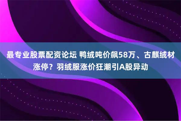 最专业股票配资论坛 鸭绒吨价飙58万、古麒绒材涨停？羽绒服涨价狂潮引A股异动