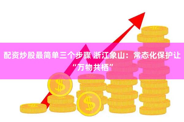 配资炒股最简单三个步骤 浙江象山：常态化保护让“万物共栖”